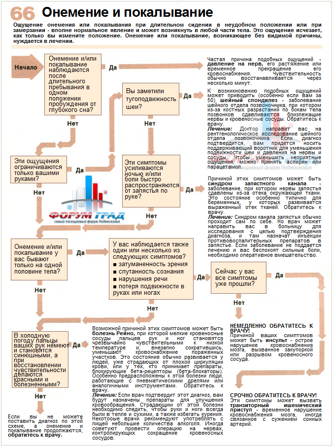 Немеет правая сторона тела почему Немеет правая сторона тела почему