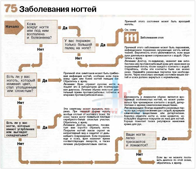 Диета без ограничений в еде