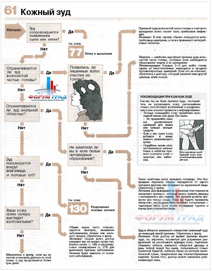 новая революционная диета доктора аткинса скачать fb2 новая революционная диета доктора аткинса скачать fb2